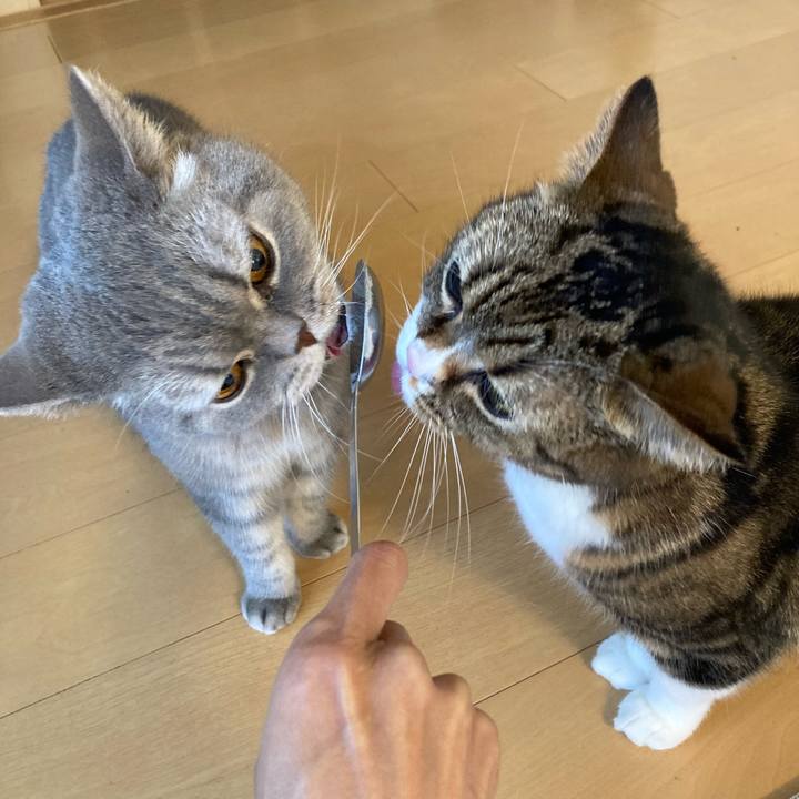 38697432 cd7d 46b8 9d5e 74f4047ed2df 1768005514523