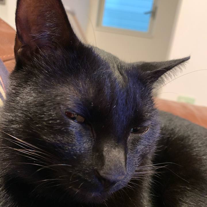 3869755f 2e94 46de ad24 47c8500a5e69 1570858559822