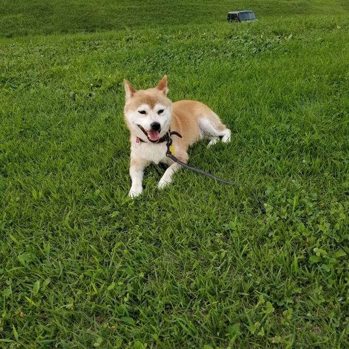 38697fa0 dba9 4ba2 8899 72af537a426c 1596532077037