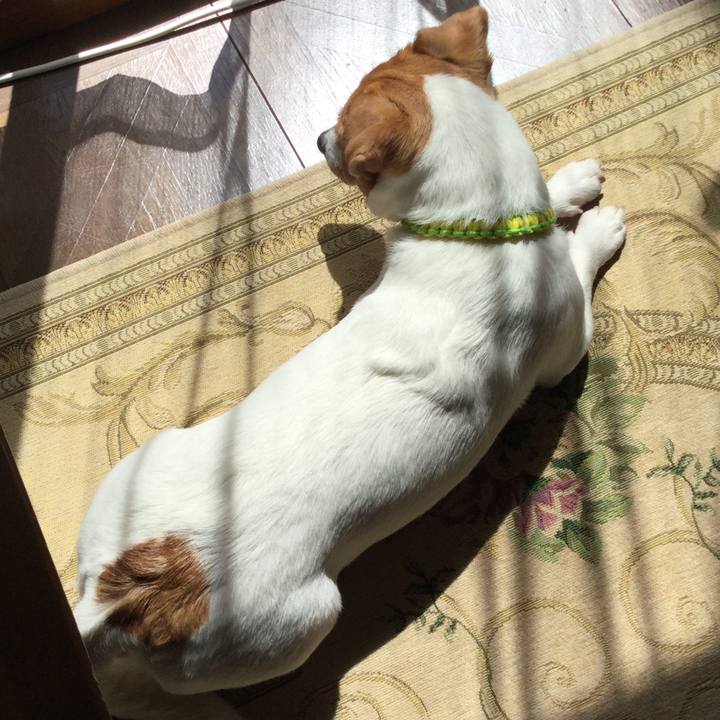 38698b83 f366 462e a854 d56b1d93b7ae 1553394916193