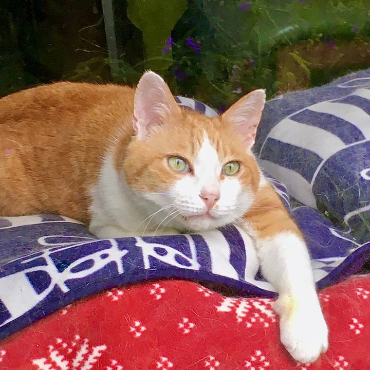 3869b47e 0c19 43a0 88f7 e026e3ca1742 1592035597437