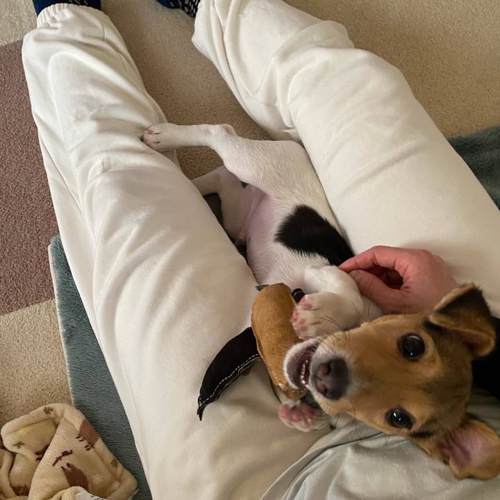 3869e454 2fa3 4a4f 8b71 9108a01ca834 1745127522640