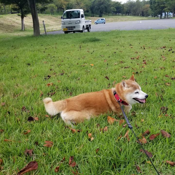 3869eaef 907c 422f 9e74 737a88f42c2f 1726643667225