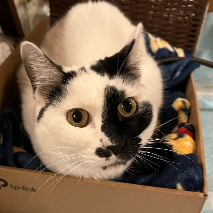 3869f2e1 62fa 4bf6 b50a 01e7e5274326 1765277017081