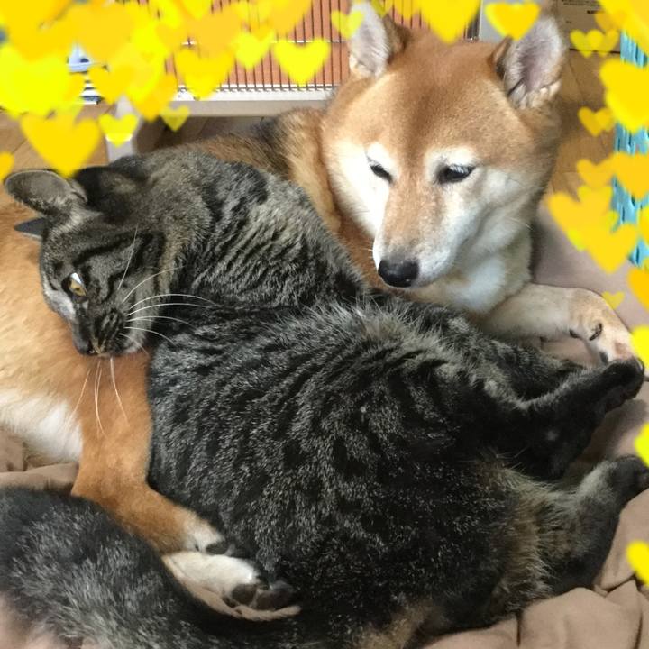 386a25be 9427 4a79 8c47 969dac29a11e 1570784571921