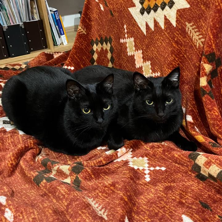 386a2a11 17fe 4ed7 b9e3 b13be0fe9974 1647958905045