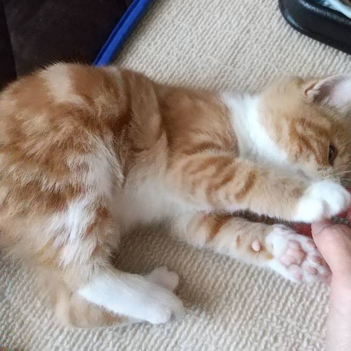 386a2ff6 f189 4086 84bd 43885357e30c 1621423196675