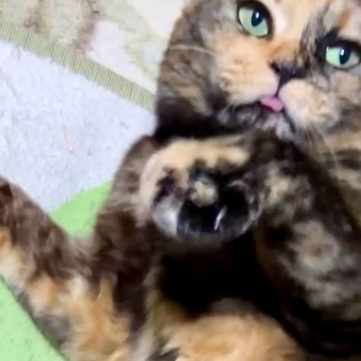 386a49bc 91ad 424a 9a35 6bcd68e33f7c 1737106404065