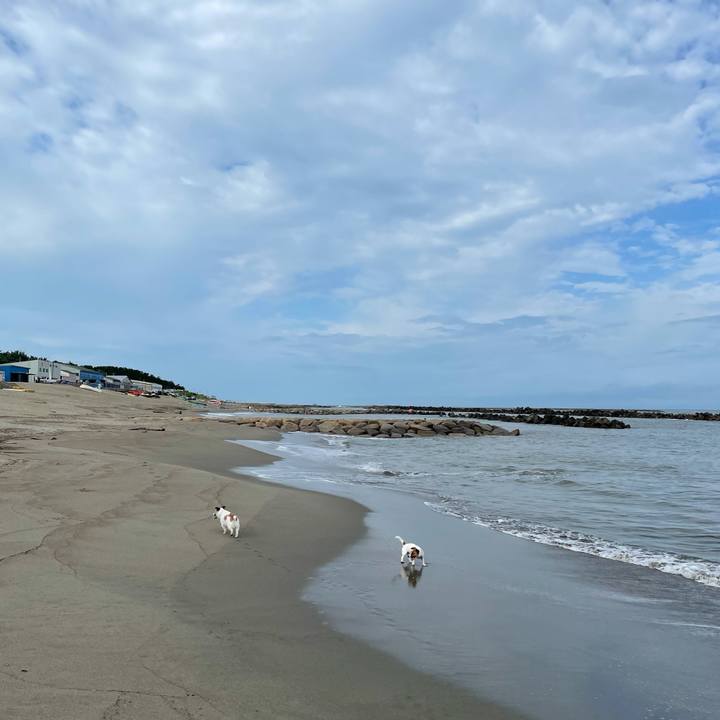 386a4eef 0456 45ec 8d0f 36499000bcdf 1628725483532