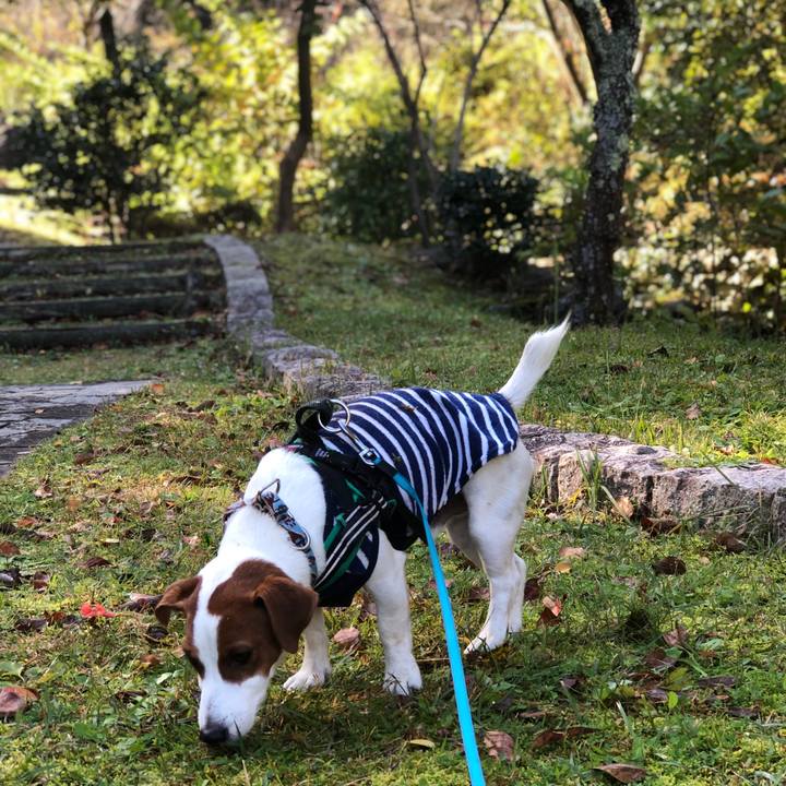 386a5e93 429d 4bff a78e 27cd3c12c538 1573808652338