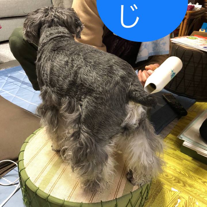 386a5f8f fd25 4f6e b2f8 151067905cb6 1703030184014