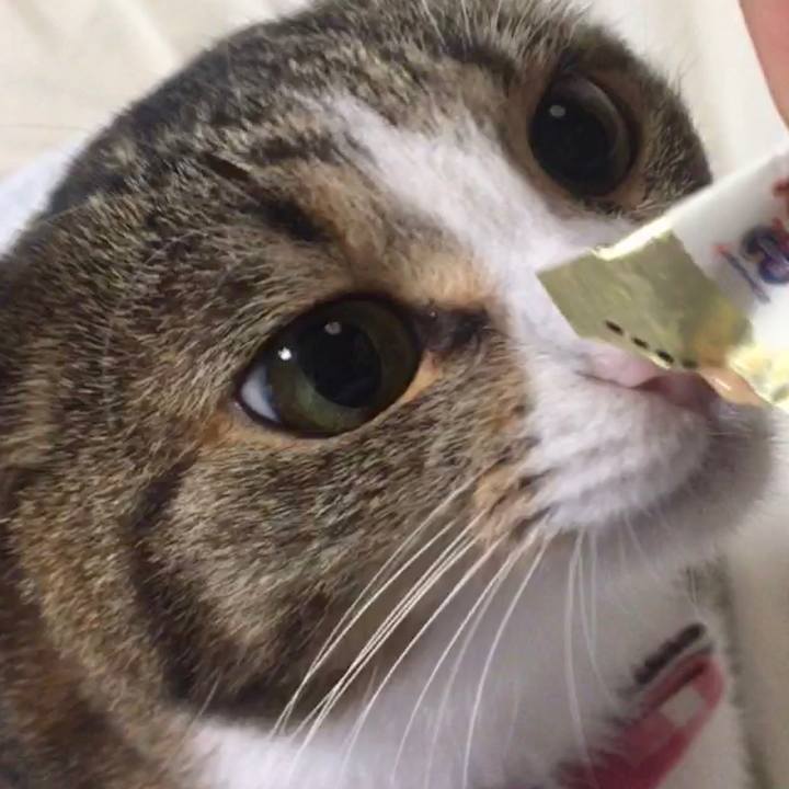 386a8754 fe94 49a9 a521 93884bd68c0a 1701689781060