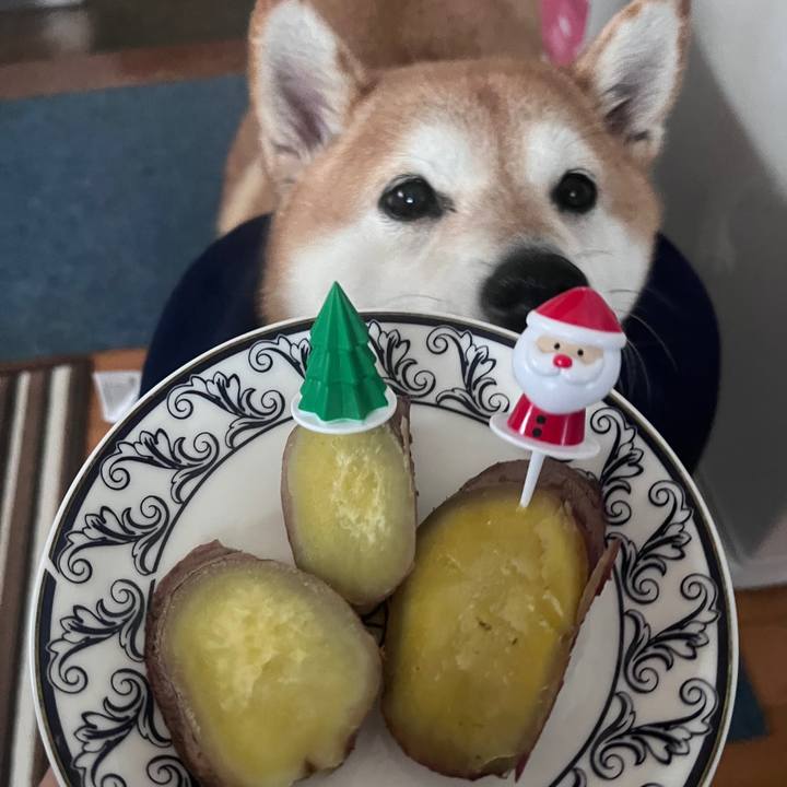 386a94b0 35b6 49b4 9330 86c57a56ed19 1702616306266