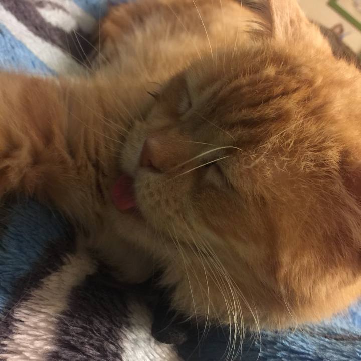 386aa2ff 5c48 4a98 a8a5 961a3f6f08ff 1561984235706