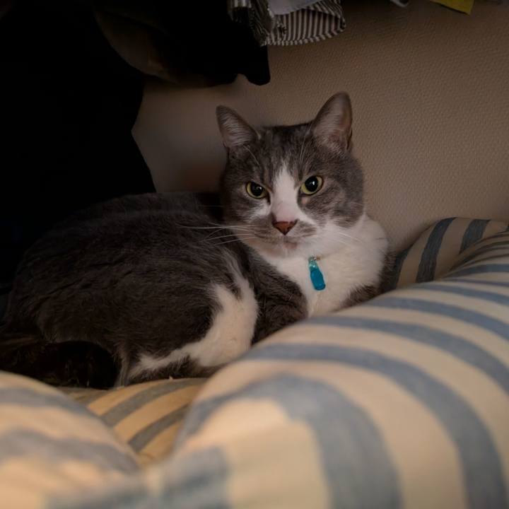 386adeee c685 4702 a5ec 8db37daf0da6 1744077132035