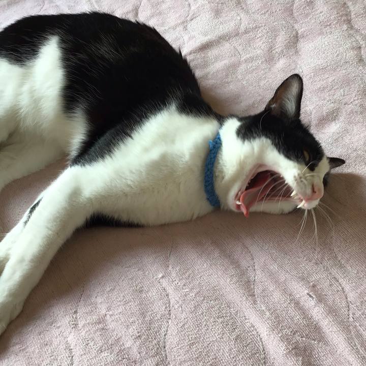 386af9d7 5373 4106 9158 a6d903e75003 1658052328432