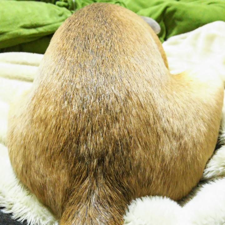 386afbe3 a205 4046 93ef 979ee79b0f7a 1556054841365