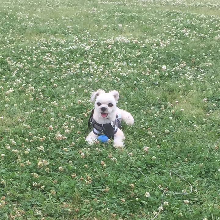 386b007e d74c 48ec 9f51 0444f7ba9403 1559464842314