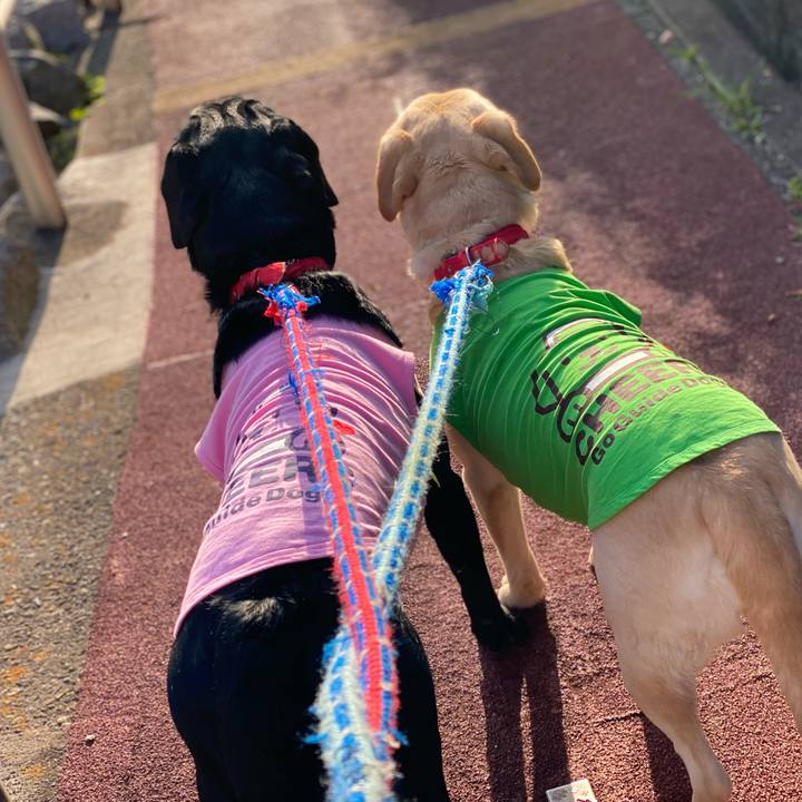 386b012d 38d4 4131 8e44 90aeef3ea8d7 1618149776873