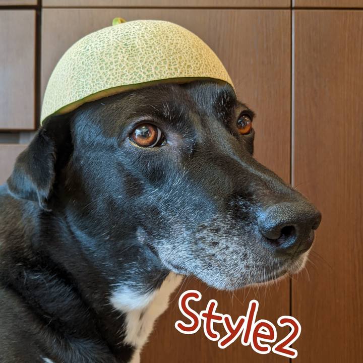 386b08a4 39f9 4280 99dc bbc856b7a3d5 1690023273862