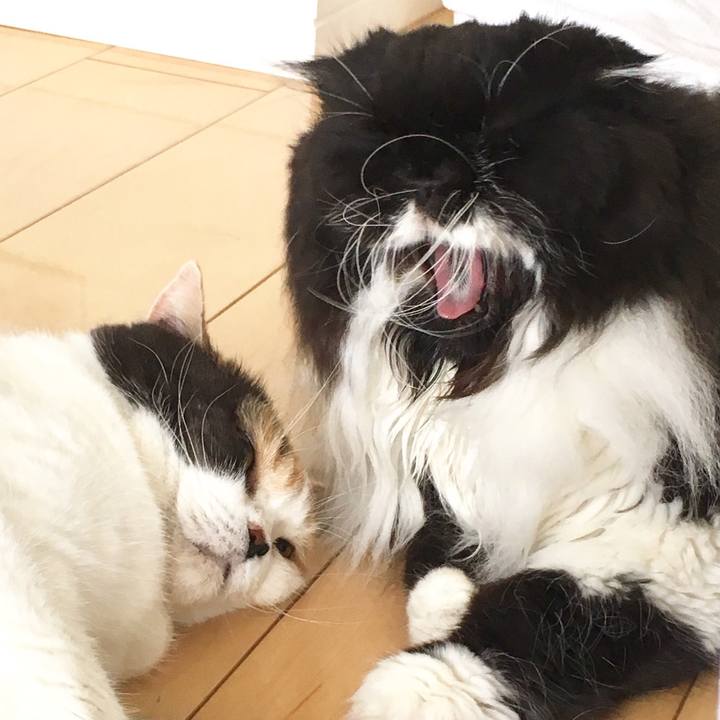 386b970e b246 4312 b75c aefcce591357 1525147070230