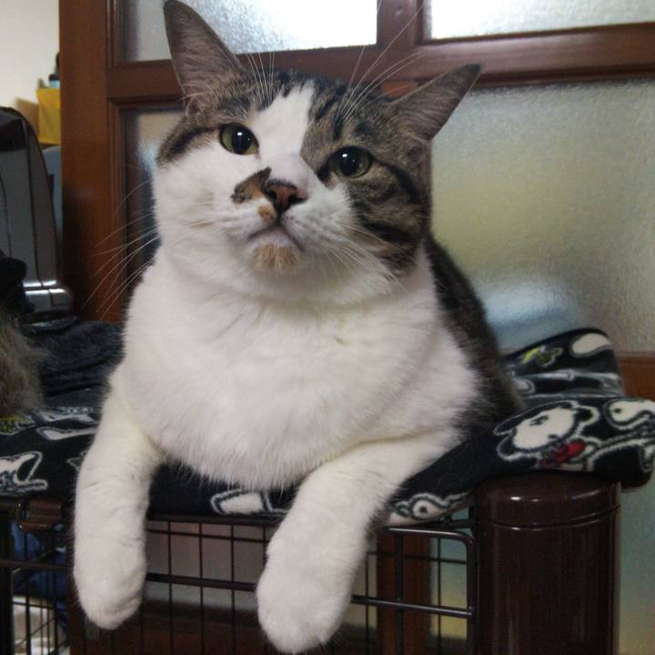 386b9f6d 7886 40b3 a1db 22f7ffd959f5 1665495220237