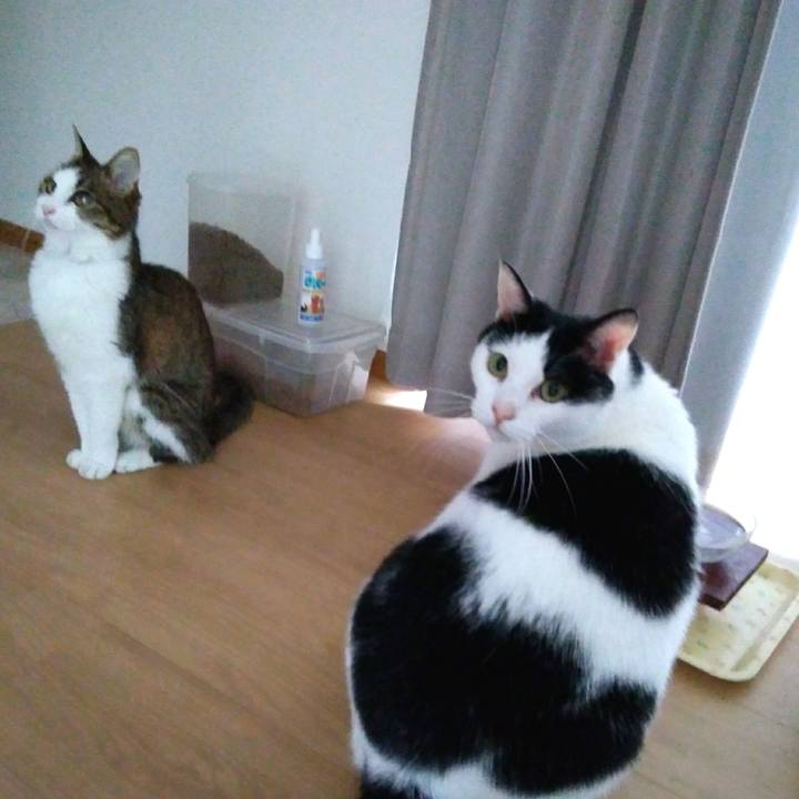 386bd38a 246e 4f10 b603 f6d2d88f4edd 1556106719846