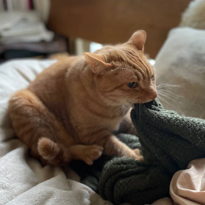 386be3b1 31a4 479c ad7c fdf678443f7e 1736557300740