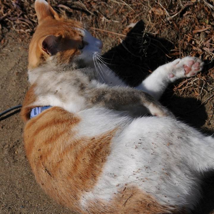 386c5a58 3d74 4455 837d 7484ae21fd63 1519548221466