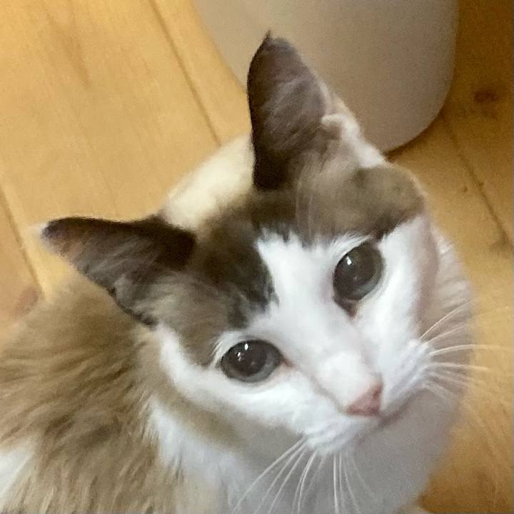 386ca34d ebf6 4862 b732 f83cc742bcb2 1679267954437