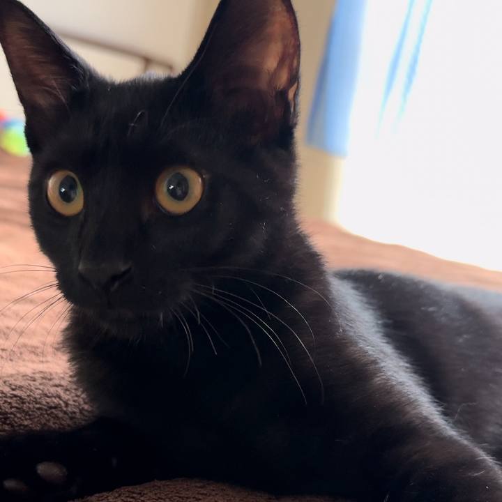 386cadf5 8aca 418f 98d2 07d61a8cfcab 1725938608710