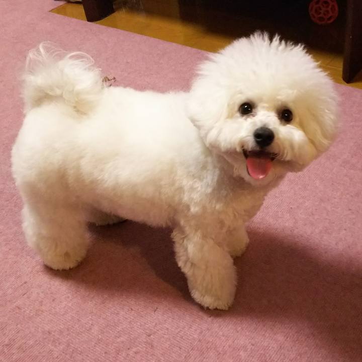 386cb145 f562 4c12 98b7 1e3a5ac225c3 1516447563645