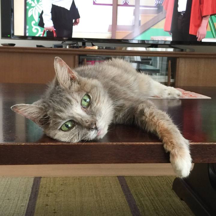 386cd220 0fff 4d2d 8cf1 32d58ed2cd84 1538800320551