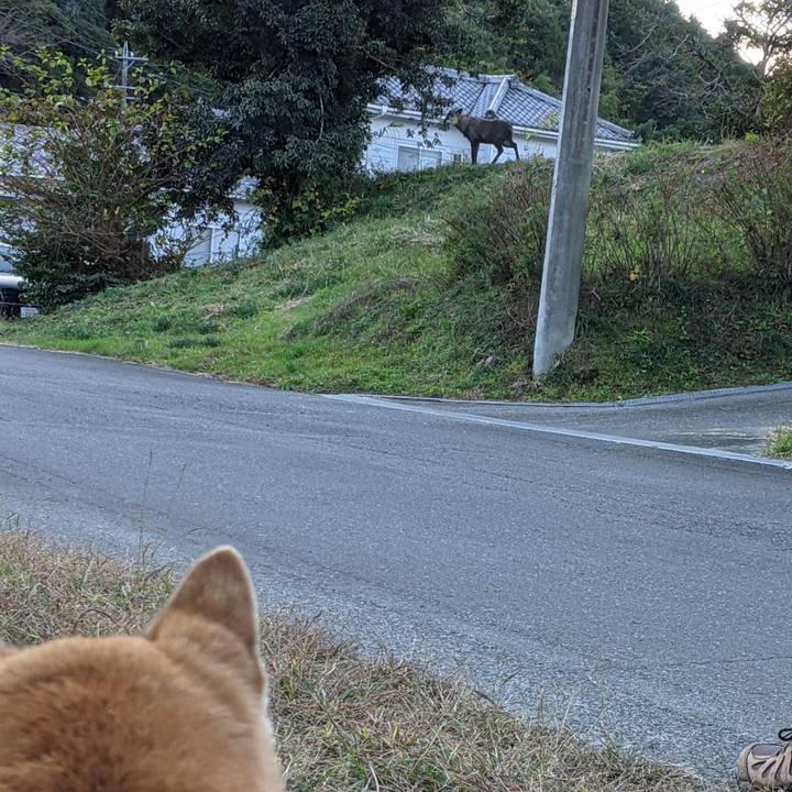 386cd63a edaf 4a5e 8426 c89dba33f7e4 1606874750317