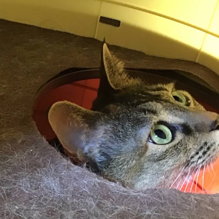 386cd6ce 9e5e 4d67 8a92 791bab91db0e 1747297374025