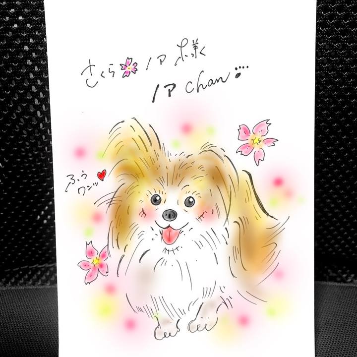 386d5e66 6ef7 4d07 89c9 79549e7d37f1 1569173703097