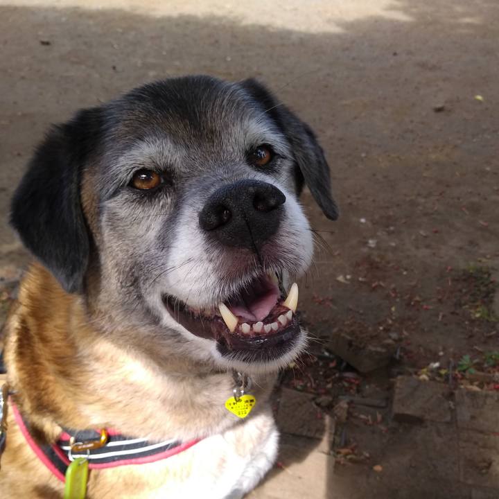 386d5fdb 28ab 4502 bda6 8361de1b2906 1557878599672