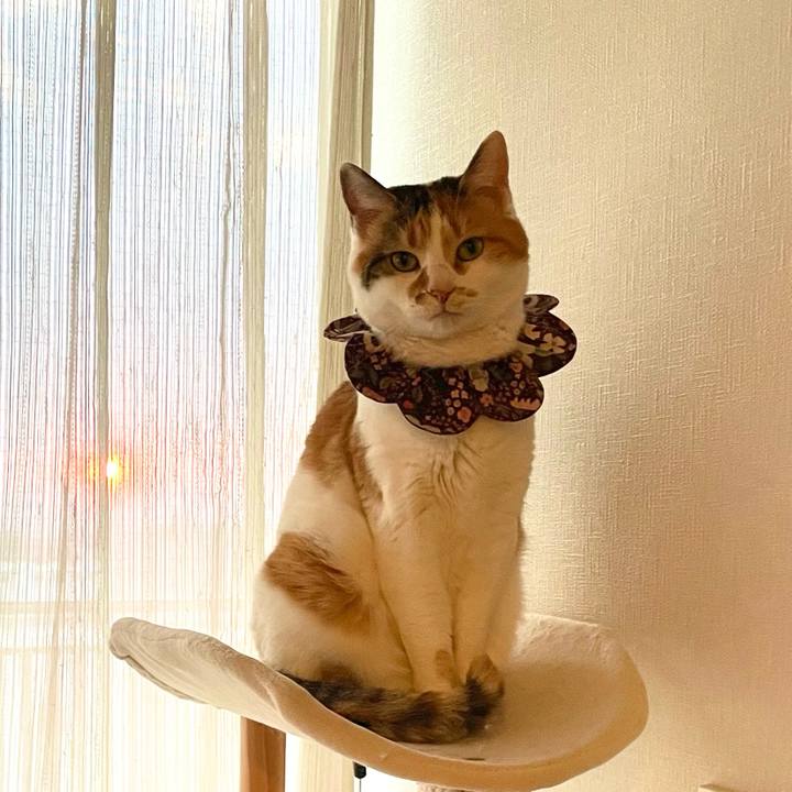 386d6f23 83e1 4968 a770 79ca1e68fde0 1742719986534