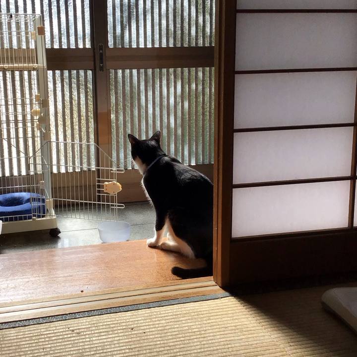 386dd12f 9027 4bcf a755 719a8e3f5d2e 1698664337346