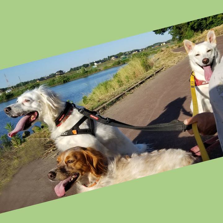 386ddfe6 1b77 4548 9a94 8160ce0d99a4 1591781231438