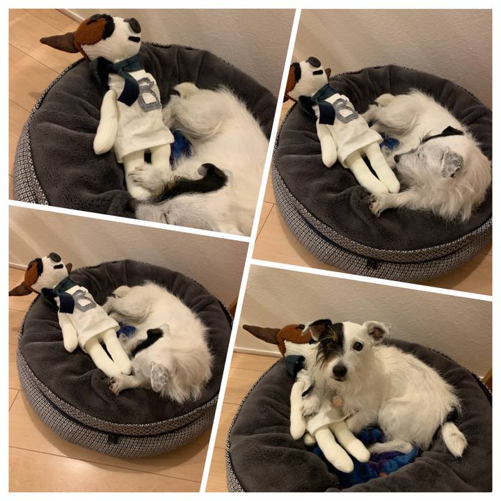 386de9b4 f267 464a 950b 8419ef3e984c 1652874992557