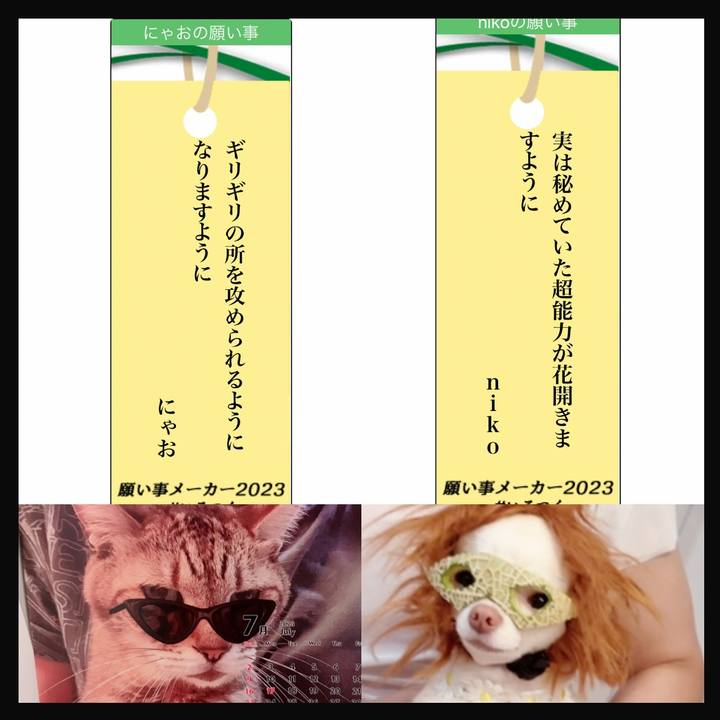 386e26c7 0454 4170 a4f2 b347ab649eec 1688718744868