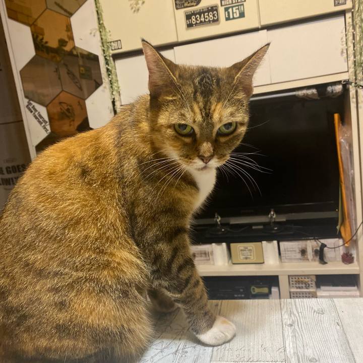 386e51e6 402e 4f89 a68d e00d69279a98 1633167451988