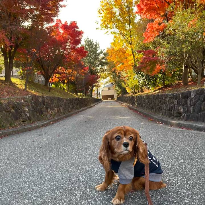 386e807b 6ed6 40a7 b23d 4be4456a4938 1669509346713