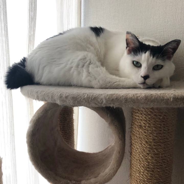 386ead21 e9df 4483 a742 9e5e2ba8ba67 1540423545673