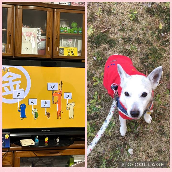 386eb5c3 2711 49cf 9935 48f264da3e3e 1769723860923