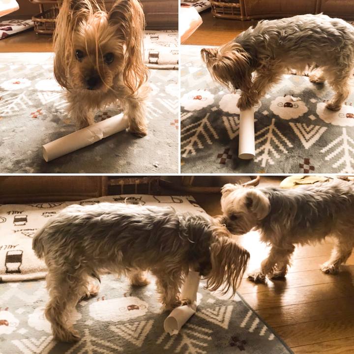 386efe7f eb3b 45e3 9d51 c153631c5298 1584955780918