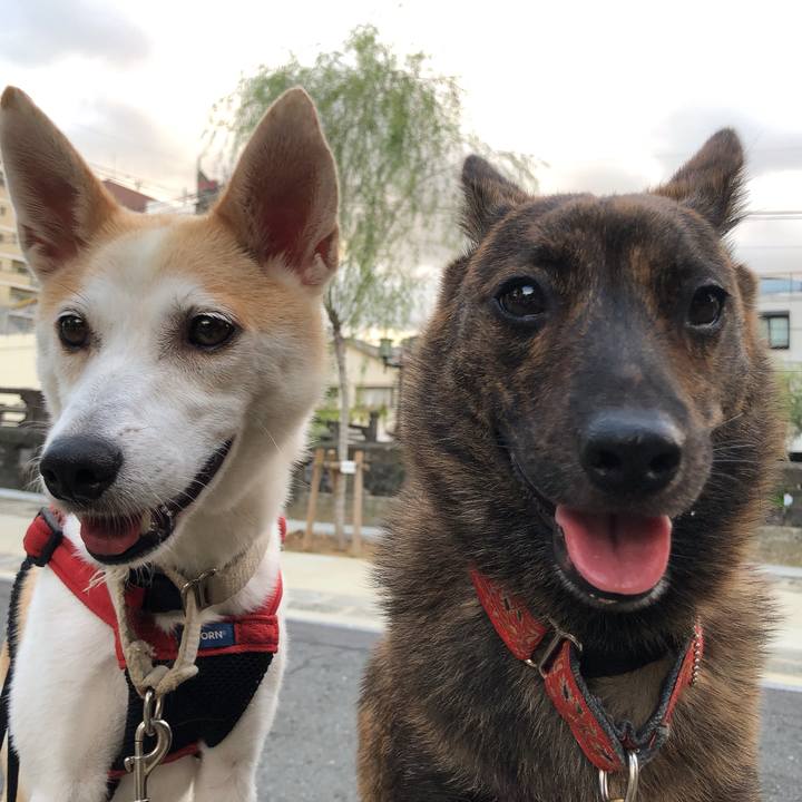 386f075f 16cb 4351 abaf 802fe0bcbe0d 1595244645144