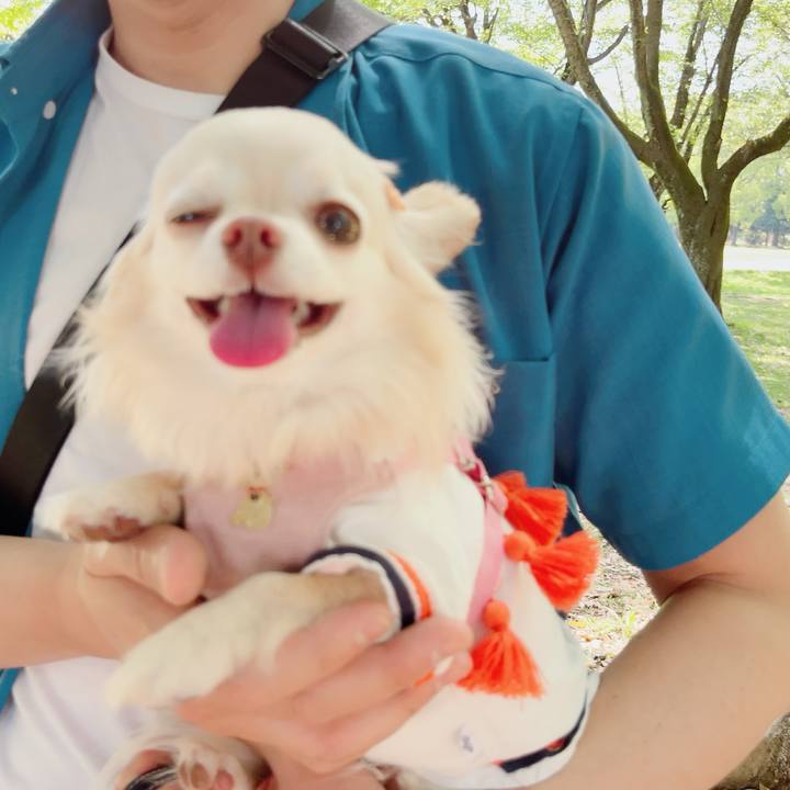 386f19eb 4a05 4234 b350 8f99d03b15f6 1714284967827