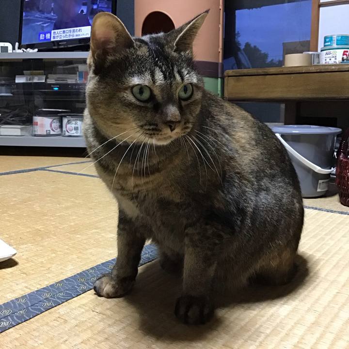 386f2379 0ca9 4ca4 a117 6b0666d9e8cd 1759481817575